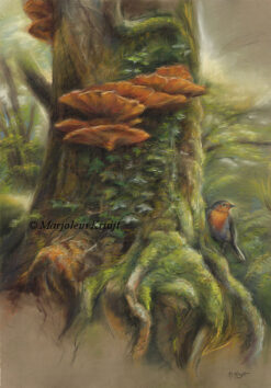 'Magic Tree'- roodborst bij Becky falls, 70x50 cm. Pastel schilderij [te koop]