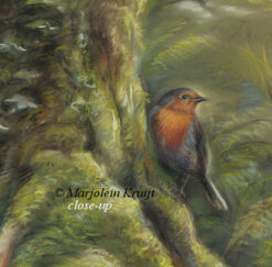 Close-up 'Magic Tree'- roodborst bij Becky falls, 70x50 cm. Pastel schilderij [te koop]