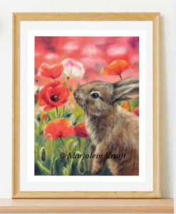 ArtPrint bunny with poppies A5 print on 300g matte paper [for sale]