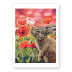 ArtPrint bunny with poppies A5 print on 300g matte paper [for sale]