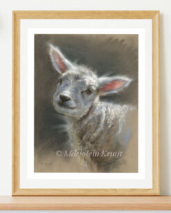 'Little Lamb', art print A5 on 300gr matte [for sale]