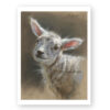 'Little Lamb', art print A5 on 300gr matte [for sale]