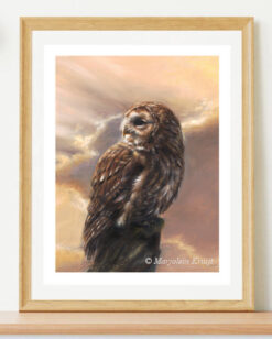 Art print tawny Owl sunset, A5 print on 300g matte paper [for sale]