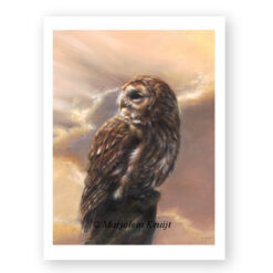 Art print tawny Owl sunset, A5 print on 300g matte paper [for sale]